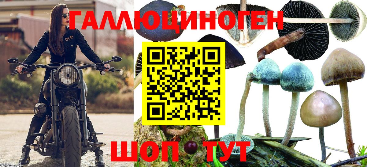 Псилоцибиновые грибы Лесосибирск