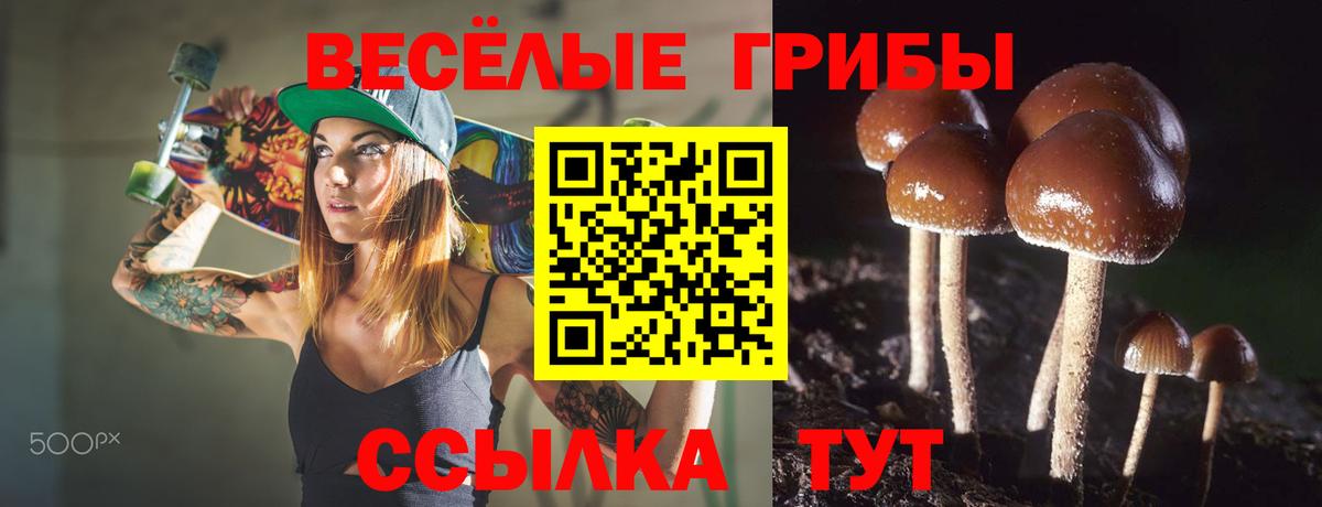 Псилоцибиновые грибы прущие грибы  купить закладку  Лесосибирск  Вход с VPN  Псилоцибиновые грибы Psilocybe 